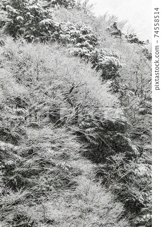 從塔巴谷看到的塔巴山村雪景 74558514