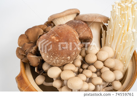 Many kinds of raw mushrooms in a pot 74559761