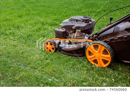 The worker mows the grass on the site, cares for the garden, uses a gasoline lawn mower. 74560060