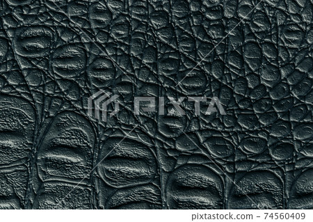 Black leather texture background, closeup. Dark gray reptile skin, macro. Black leather texture background, closeup. Dark gray reptile skin, macro. 74560409