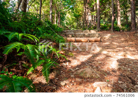Mountain trail on a sunny day <Osayama Tokushima Prefecture> Mountain trail on a sunny day <Osayama Tokushima Prefecture> 74561006