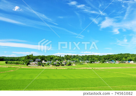 Summer blue sky and country scenery 74561082