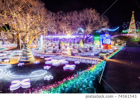 足利花卉公園的照明 足利花卉公園的照明 74561543