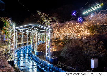 足利花卉公園的照明 74561546