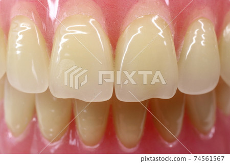 Tooth Tooth 74561567