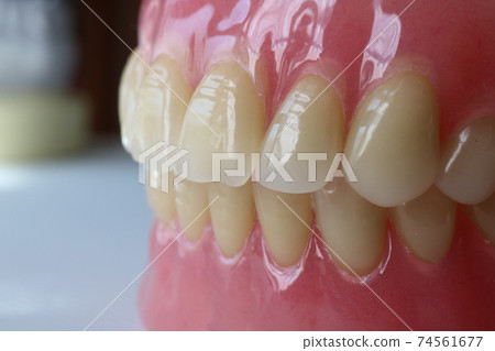 Tooth Tooth 74561677