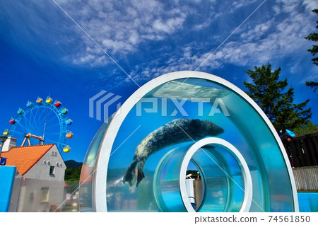 Noboribetsu Marine Park 74561850