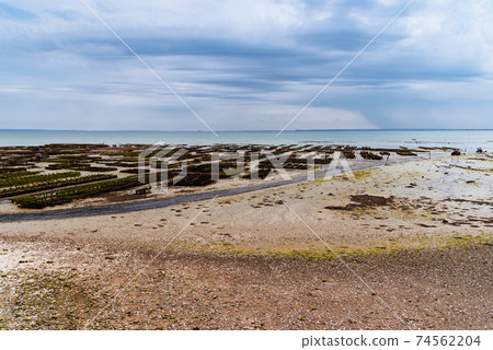 Oyster farms at low tide in Cancale 74562204