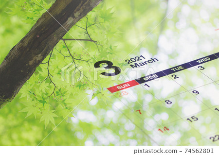 March 2021 calendar and fresh green composite photo March 2021 calendar and fresh green composite photo 74562801