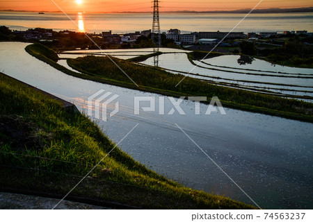Rice terraces and sunset 74563237