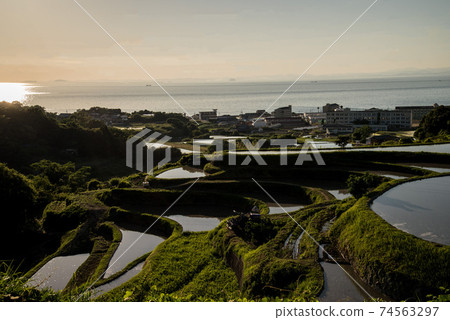 Rice terraces and sunset 74563297