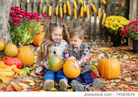 Little girl and boy picking pumpkins for Halloween pumpkin patch. Children pick ripe vegetables at the farm during the holiday season. Little girl and boy picking pumpkins for Halloween pumpkin patch. Children pick ripe vegetables at the farm during the holiday season. 74563639