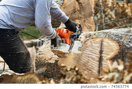 Close up of landscaper cutting up tree truncks with a chainsaw Close up of landscaper cutting up tree truncks with a chainsaw 74563774