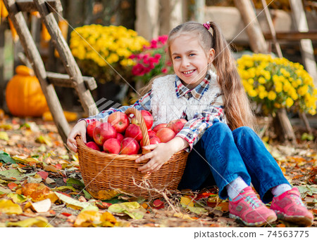 Little girl with a basket of red apples. Children pick ripe vegetables at the farm during. Little girl with a basket of red apples. Children pick ripe vegetables at the farm during. 74563775