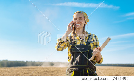 Farmer using her phone on a grain field Farmer using her phone on a grain field 74564903
