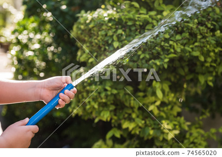 Boy pouring water to trees. Routine homework 74565020