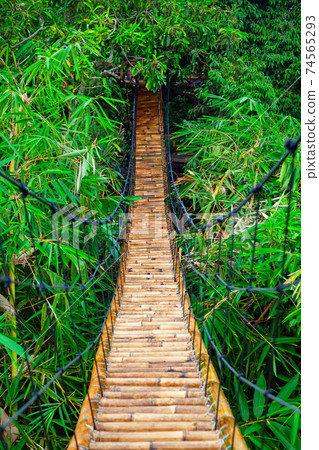 Suspension pedestrian bridge made from natural bamboo 74565293