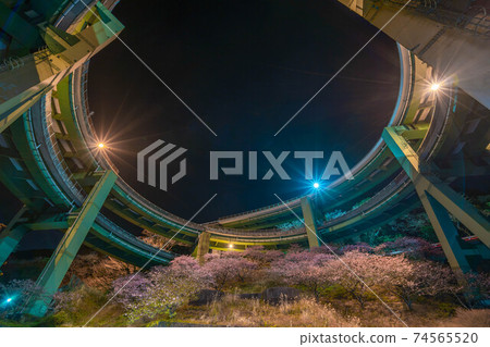 河津櫻河津環路橋 74565520