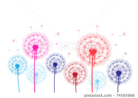 Colorful graphic dandelions on a white background 74565666