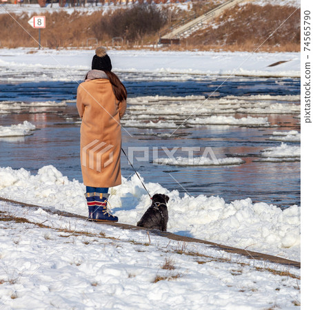 Girl with a dog on the river bank in winter. Girl with a dog on the river bank in winter. 74565790