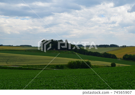 Patchwork path Patchwork path 74565907