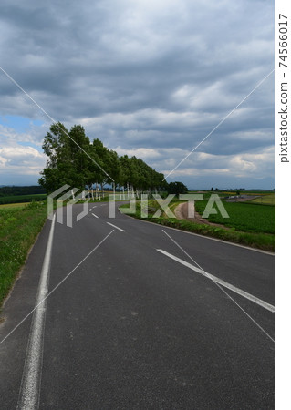 Patchwork path 74566017