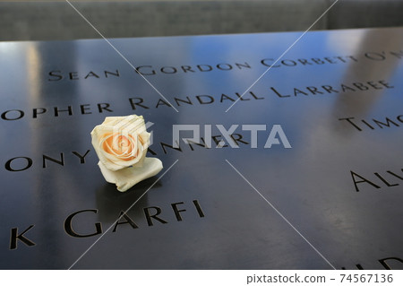the white rose for 911 memorial in New York 74567136