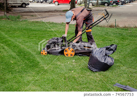 Mowing a household garden lawn with black bag of grass clippings. 74567753