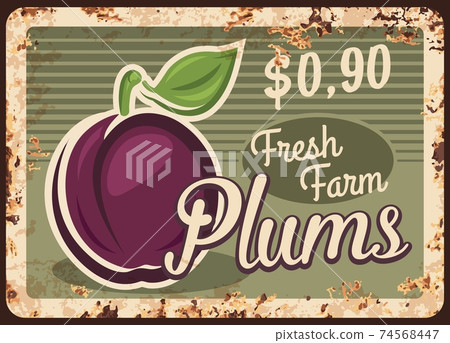 Plums rusty metal plate, vector vintage tin sign Plums rusty metal plate, vector vintage tin sign 74568447
