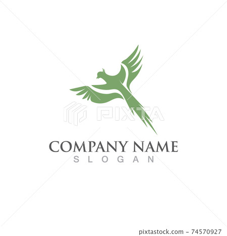 Seagull bird logo vector image Seagull bird logo vector image 74570927