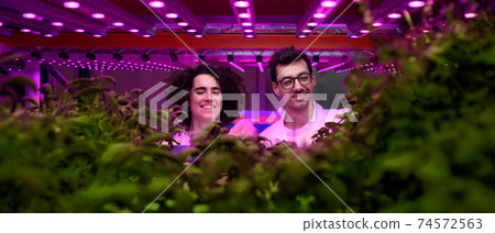 Workers looking at camera on aquaponic farm, sustainable business and artificial lighting. Workers looking at camera on aquaponic farm, sustainable business and artificial lighting. 74572563