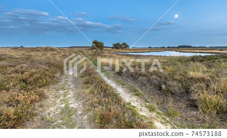 Natural heathland landscape near Hijken Natural heathland landscape near Hijken 74573188
