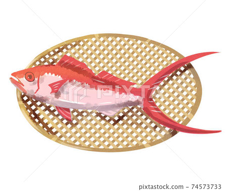 Hamadai Zaru水彩風格 Hamadai Zaru水彩風格 74573733