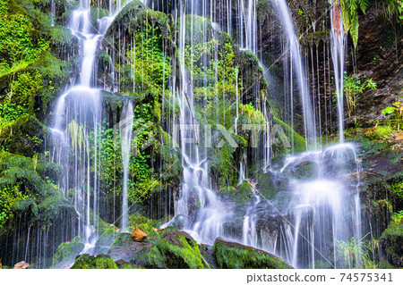 Fahler waterfall in the Black Forest, Germany Fahler waterfall in the Black Forest, Germany 74575341