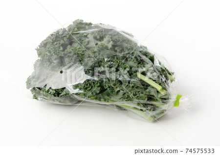 羽衣甘藍袋 羽衣甘藍袋 74575533
