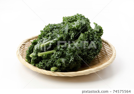 羽衣甘藍 羽衣甘藍 74575564