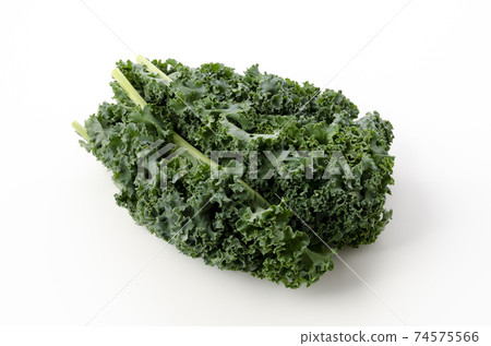 Kale 74575566