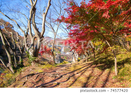 the訪京海濱長廊秋天的景色水上町 74577420