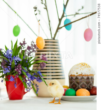 One live chicken near the Easter cakes on the background of painted eggs and Easter decor. One live chicken near the Easter cakes on the background of painted eggs and Easter decor. 74577538