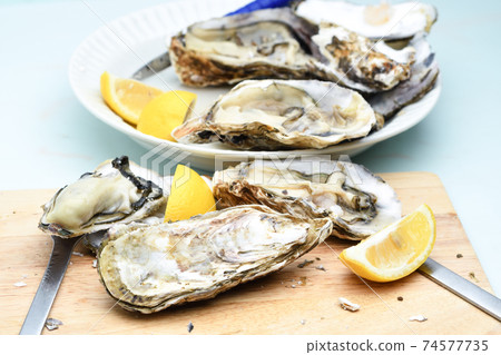 Raw oysters, shelled oysters, peeled meat 74577735