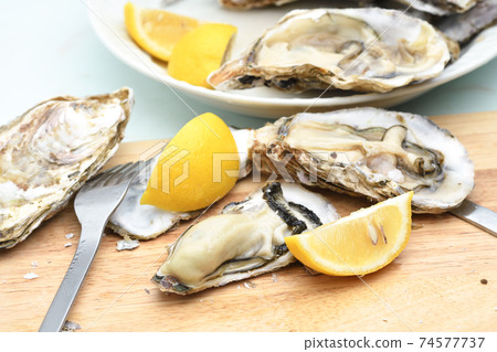 Raw oysters, shelled oysters, peeled meat 74577737