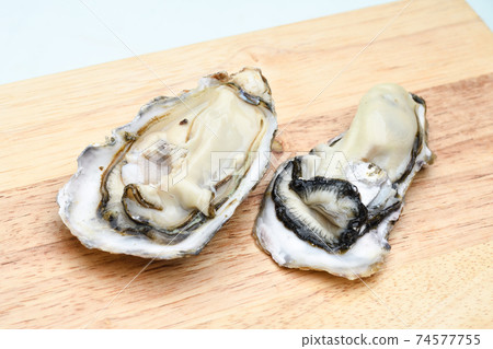 Raw oysters, shelled oysters, peeled meat 74577755
