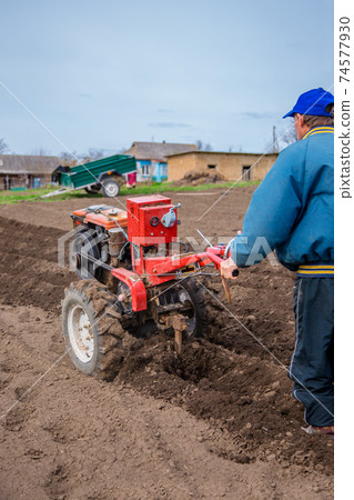 Man using a cultivator in a field on a farm, before planting potatoes. 74577930