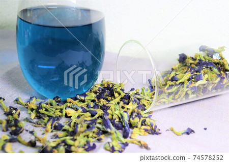 Butterfly pea glass and tea flowers 74578252