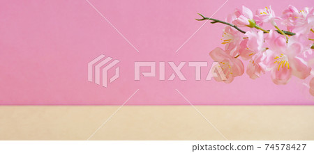 Cherry blossoms and pink walls Cherry blossoms and pink walls 74578427
