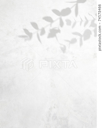 Shadows of branches falling on a concrete wall ――Image background ――There are multiple variations 74578466