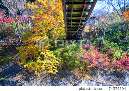 從Yosanoakikoka紀念碑公園,Sasabue橋,Tone河,秋天風景,水上町 從Yosanoakikoka紀念碑公園,Sasabue橋,Tone河,秋天風景,水上町 74579304