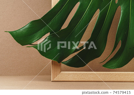 The edge of a green leaf of a plant 74579415