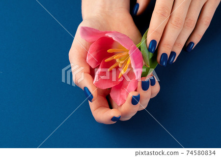 Woman hands with manicure holding colorful tulips Woman hands with manicure holding colorful tulips 74580834