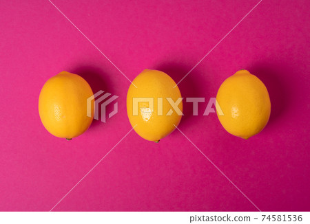 Ripe lemons on bright pink paper background Ripe lemons on bright pink paper background 74581536